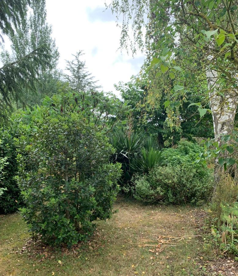 Maison D'Hotes La Chabanaise - Marais Poitevin Cramchaban Eksteriør bilde